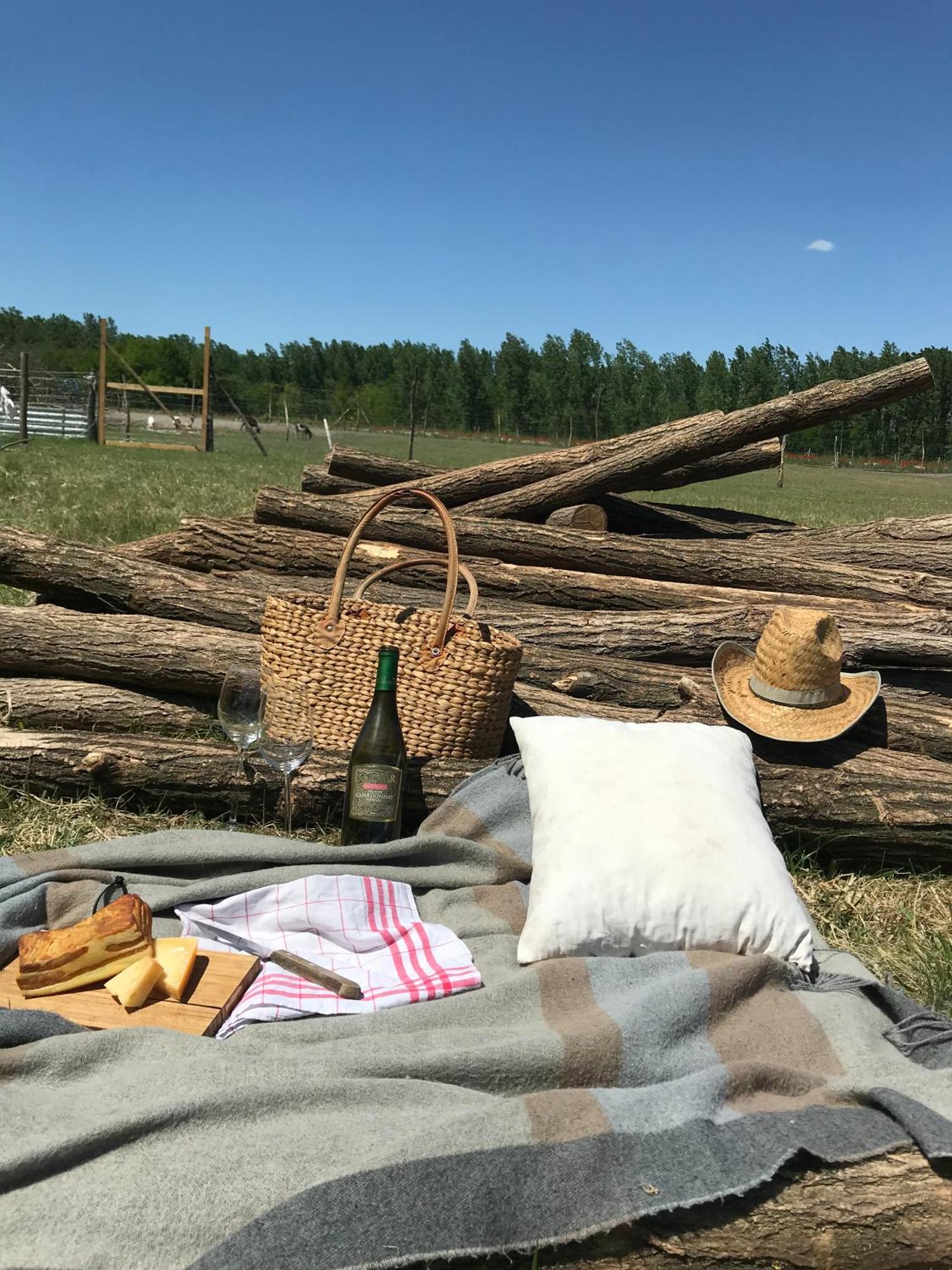 Tornacos Tanya Vendeghaz*** Es Gasztroporta Aparthotel Kiskunmajsa Bagian luar foto